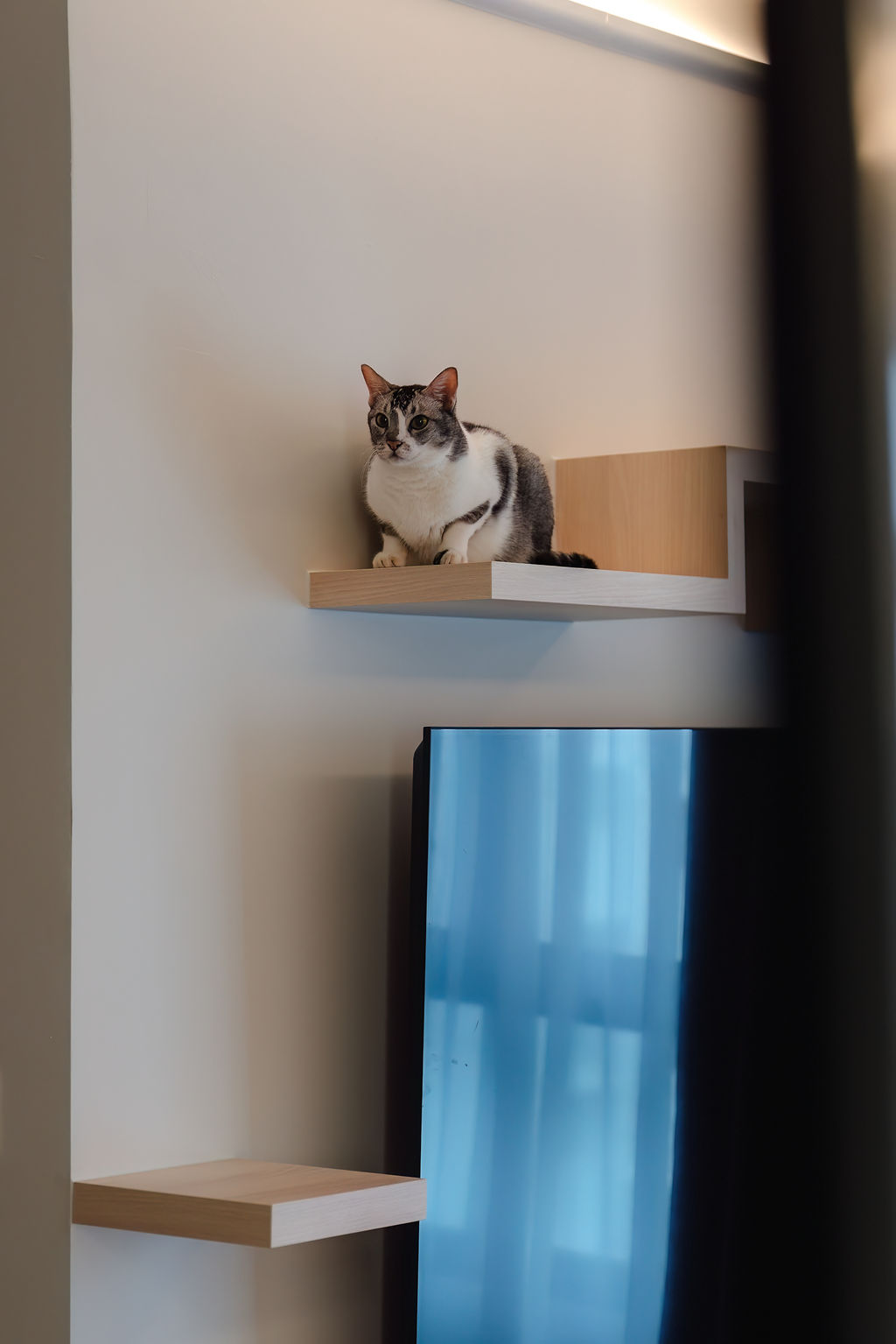 DSC04516 1
